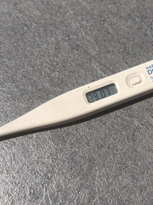 Bild vergr&ouml;&szlig;ern: Thermometer