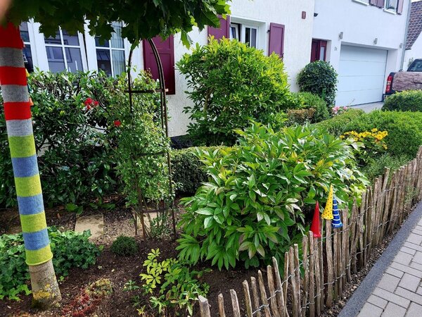 Bild vergr&ouml;&szlig;ern: Gewinnergarten 2025 in der Kategorie: �Sch�nster Vorgarten�