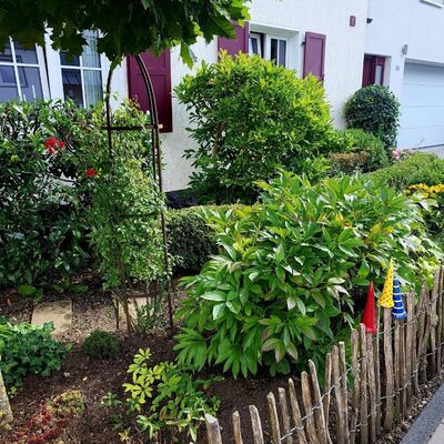 Gewinnergarten 2025 in der Kategorie: �Sch�nster Vorgarten�