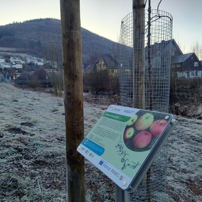 EssbareLenneSchiene_Coverfoto (c) Stadt Lennestadt
